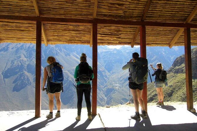 Colca Trek - 2 Days Tour - Sangalle/Oasis: Family Bamboo Bungalows and Pool Time Between Palm Trees