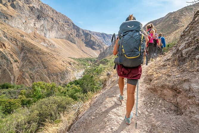 Colca Trekking 2days from Arequipa - Key highlights you’ll feel in real life