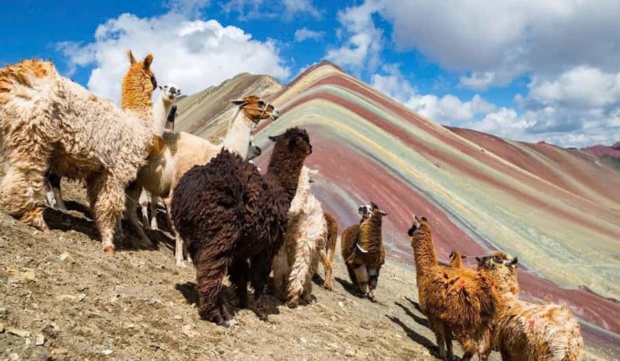 Cusco: #1 Rainbow Mountain & Red Valley Day Trip with Meals - Breakfast and buffet lunch in Cusipata, where value gets real