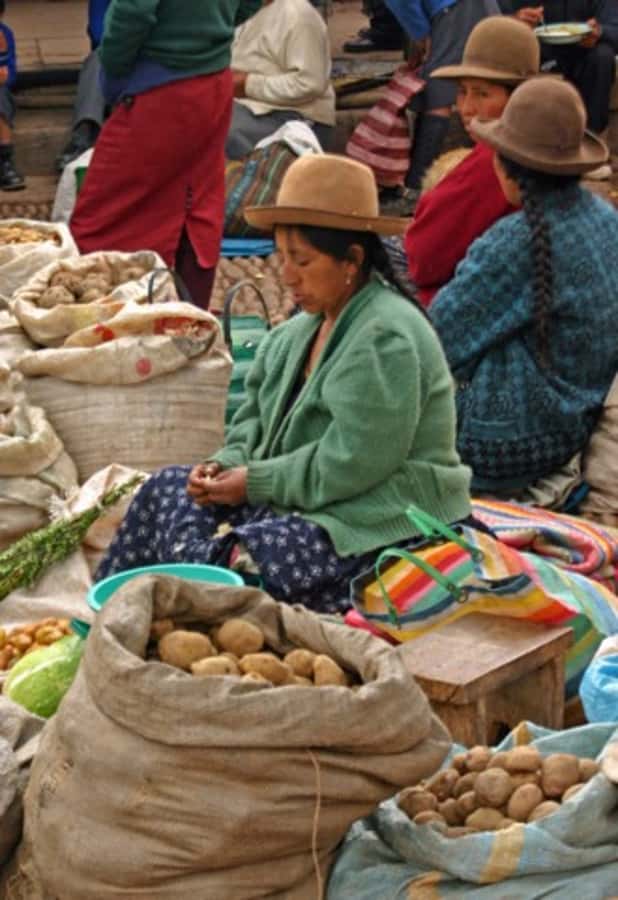 Cusco: 3-Hour Peruvian Cooking Class - Why a market-to-kitchen Cusco cooking class makes the recipes stick