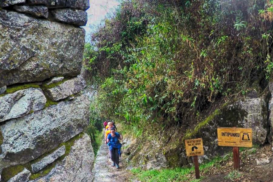 Cusco: 4-Day Inca Trail to Machu Picchu with Accommodation - Day 2 Coffee roasting on Qhapaq Ñan, viewpoint breaks, and the Cocalmayo soak