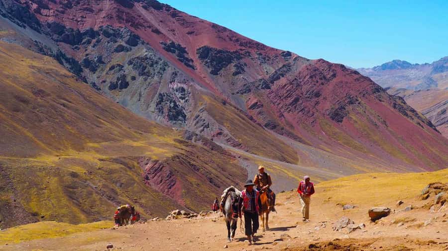 Cusco: 6-Day Andean Jewels Experience - Rainbow Mountain at 5,020 Meters: Colors, Animals, and That Early Start