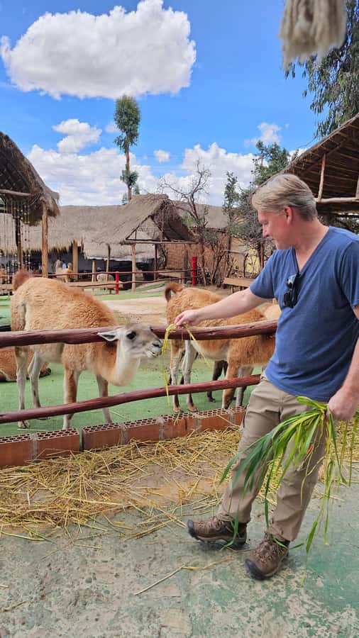 Cusco: Alpaca and Llama Farm Tour w/ Transfer & Weaving Demo - Cusco pickup and Manos de la Comunidad: smooth logistics for a 150-minute break