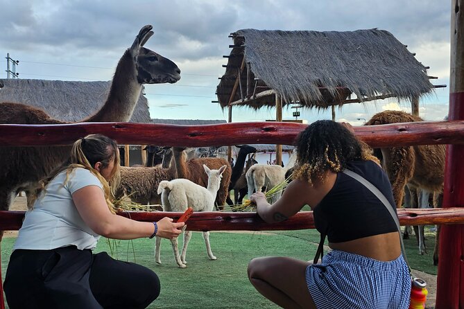 Cusco: Alpaca and Llama Farm Tour with Transfer & Weaving Demo - Key things that make this tour worth your time