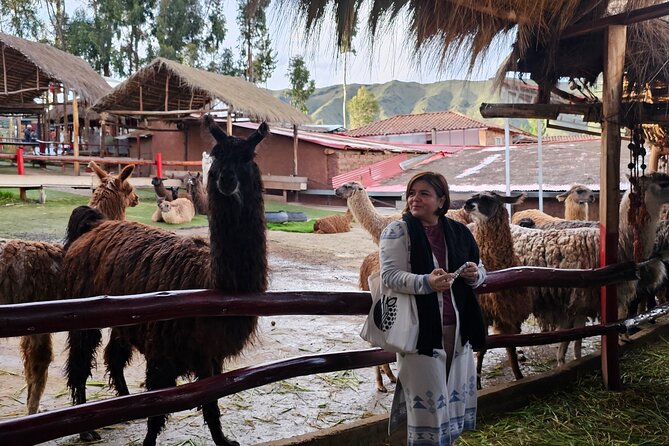 Cusco: Alpaca and Llama Farm Tour with Transfer & Weaving Demo - Price and value: what $34 buys you in Cusco