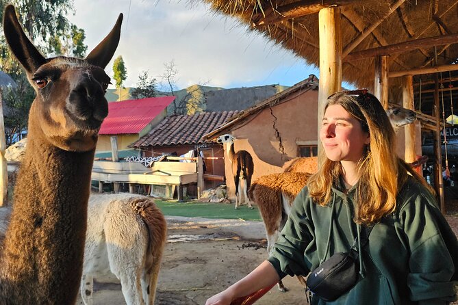 Cusco: Alpaca and Llama Farm Tour with Transfer & Weaving Demo - The ride from Cusco and what “easy logistics” really means