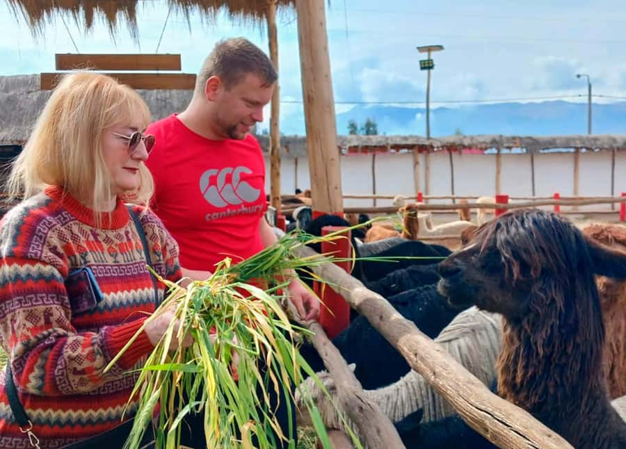 Cusco: Archeological Sites Tour and Forest Photo Experience - Qenqo Forest Photo Session: How to Get Good Shots Without Feeling Lost