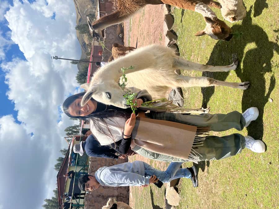Cusco: Archeological Sites Tour and Forest Photo Experience - What to Bring to Avoid a Bad Day in Cusco