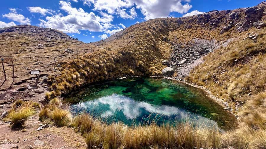 Cusco: Ausangate Tour 7 Lagoons full day - Apu Ausangate views and the wildlife you might actually spot
