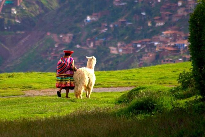 Cusco City Tour - Group Service - Key points before you go