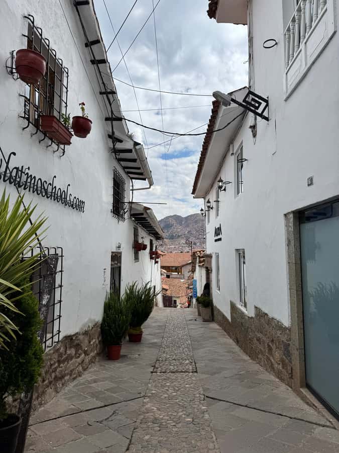 Cusco: Cultural Walking Tour with Local Guide⭐⭐⭐⭐⭐ - San Blas Streets: Walking Into a Traditional Cusco Neighborhood