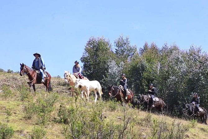 Cusco Day Tour Horse Riding Mystic Tour Full Service The Most Recommended - Cusco on horseback, with the Moon Temple as the main event