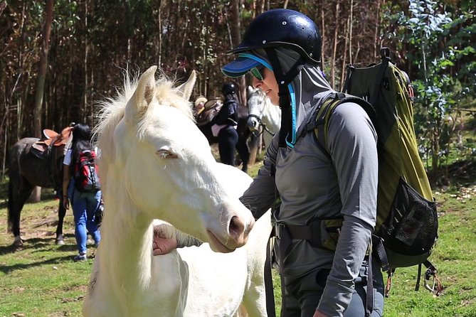 Cusco Day Tour Horse Riding Mystic Tour Full Service The Most Recommended - The horses and the guides: what you should expect on the trail