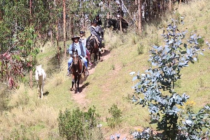 Cusco Day Tour Horse Riding Mystic Tour Full Service The Most Recommended - Duration and timing: how to fit 3.5 hours into your Cusco day