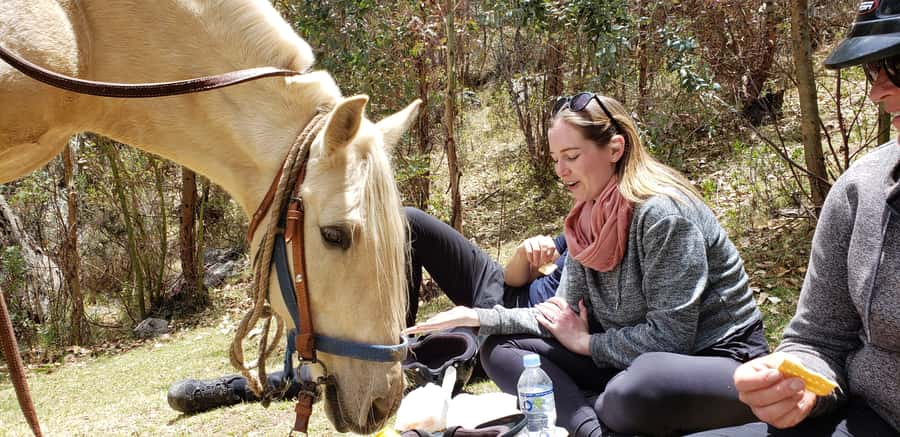 Cusco: Half-Day Horseback Riding at Devil's Balcony - Key Things You’ll Remember From This Cusco Horse Ride