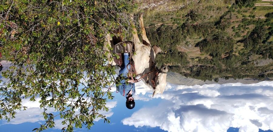 Cusco: Half-Day Horseback Riding at Devil's Balcony - Timing, Pace, and What the 4 Hours Actually Means