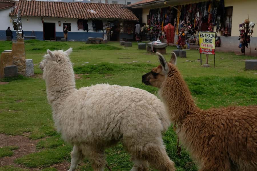 Cusco Highlights Walking Tour: History, Culture, Traditions - Plaza Nazarenas and the 12-Angle Stone on Hatun Rumiyoc