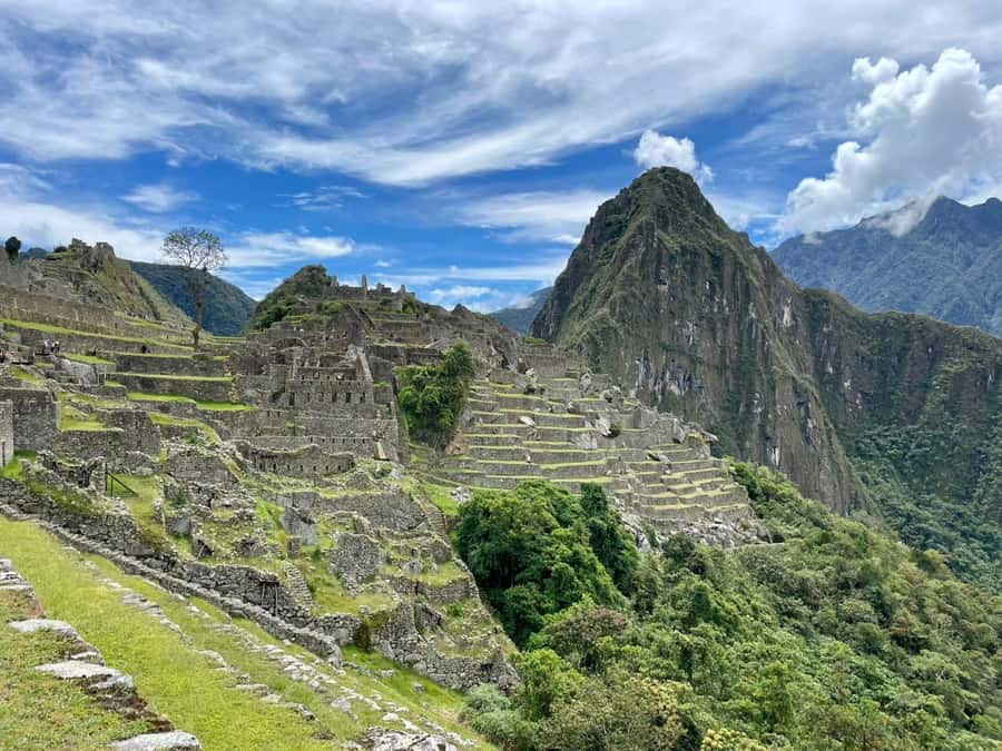 Cusco: Machu Picchu Day Trip with Train + Entrance ticket - Price and value: is $333 per person fair?