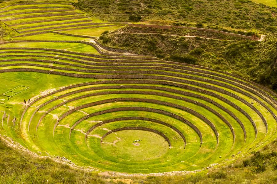 Cusco: Maras and Moray Tour ending in Ollantaytambo - Price, Tickets, and the Real Budget for a 6-Hour Day