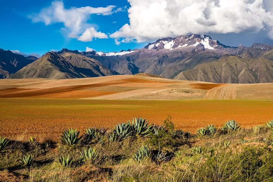 Cusco: Moray, Maras Salt Mines, and Chinchero Weavers Tour - The guide experience, bilingual narration, and the small-group advantage