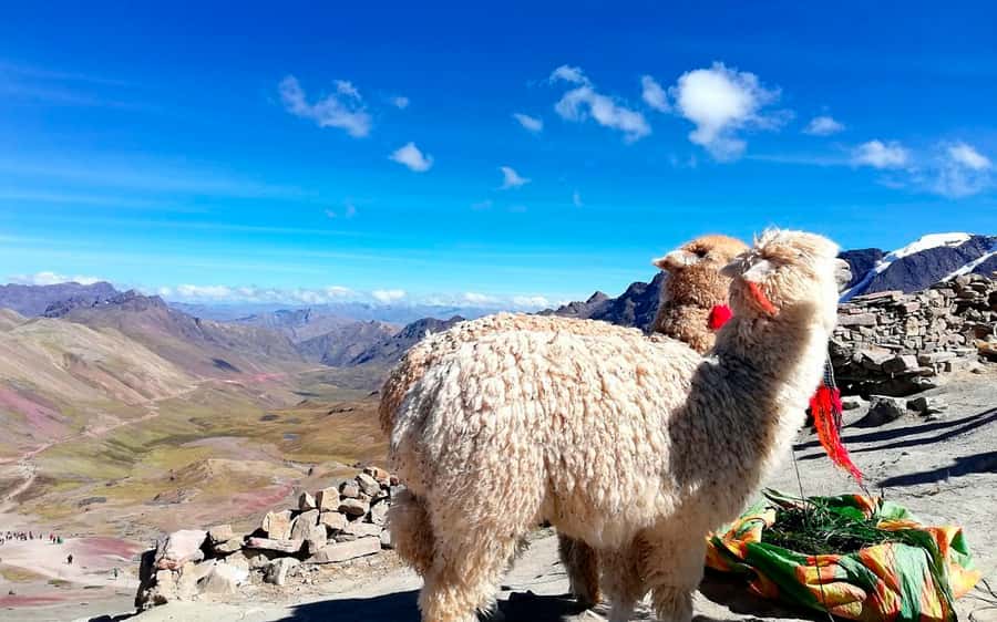 Cusco: Mountain of 7 colors Vinicunca and the Red Valley (optional) - Descent and Return: Keeping It Safe on the Way Down