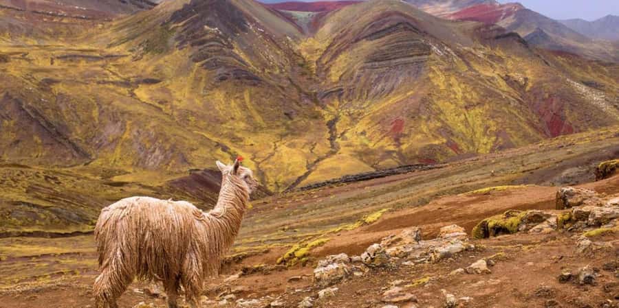 Cusco : Palcoyo - Rainbow Mountain Hidden Sister - The walk begins at Palcoyo (4,200 m), with Stone Forest views on deck