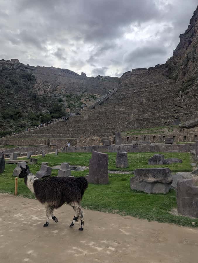 Cusco: Pisaq & Ollantaytambo end in Ollantaytambo with Lunch - Price and value: what $28 really covers, plus what to budget