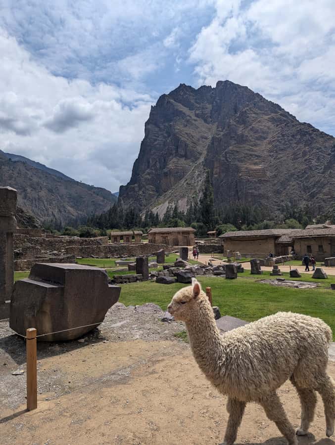 Cusco: Pisaq & Ollantaytambo end in Ollantaytambo with Lunch - Who this Sacred Valley day tour is best for