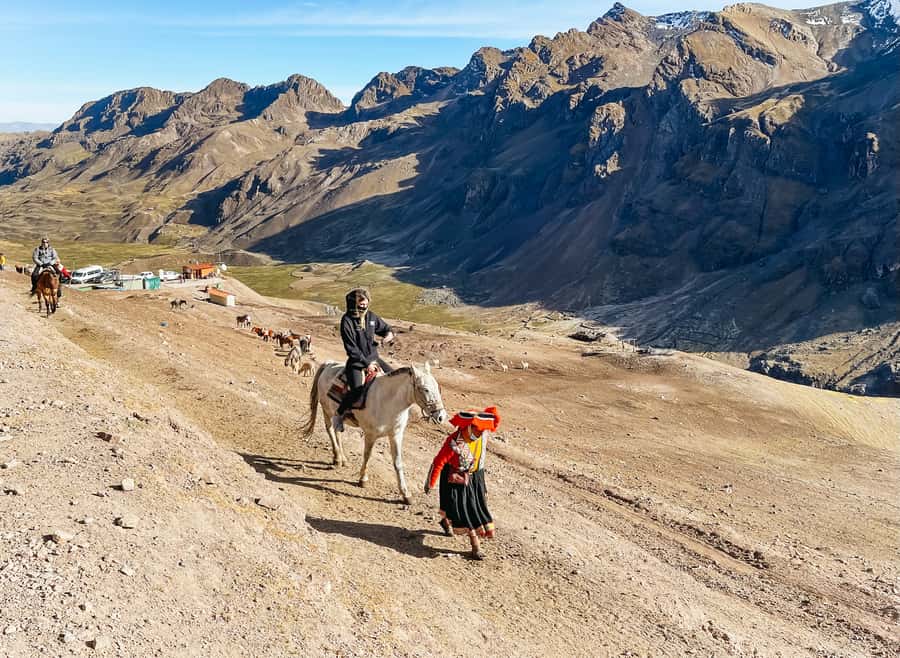 Cusco: Rainbow Mountain and Red Valley Day Trip with Meals - Meals in the Andes: Breakfast and Buffet Lunch Are Real Value