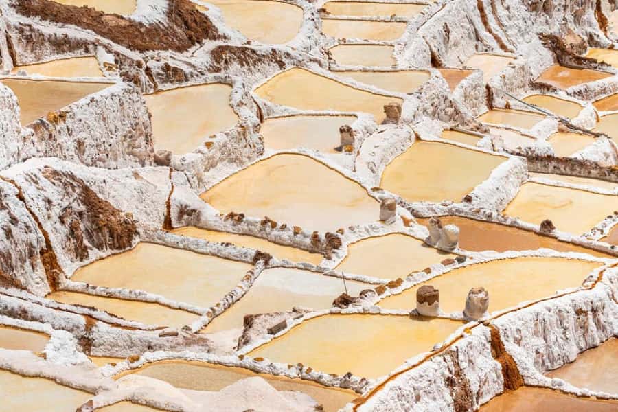 Cusco: Sacred Valley, Pisac, Ollantaytambo, Salt Mines Moray - Urubamba Lunch Break: A Proper Reset Between Ruins