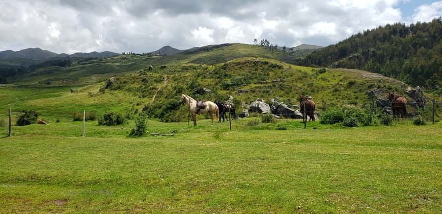 Cusco: Sacsayhuaman Guided Tour and 1-Hour Horseback Ride - The ranch portion: your 1-hour horseback ride in the park