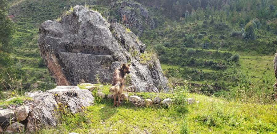 Cusco: Sacsayhuaman Guided Tour and 1-Hour Horseback Ride - Who this tour is best for, and who should skip it