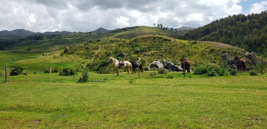 Cusco: Sacsayhuaman Guided Tour and 1-Hour Horseback Ride - Should you book Cusco Sacsayhuaman, Qenqo, and horseback riding?