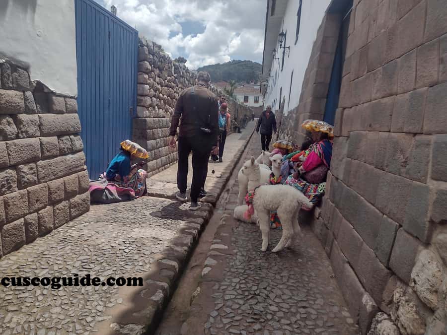 Cusco Walking Tour: Downtown, Sun Temple & San Blas Views - San Cristobal viewpoint: rooftops, mountains, and how Cusco sits in its world