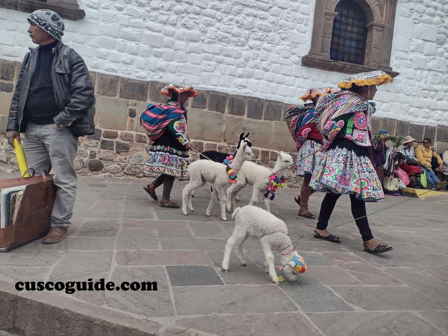 Cusco Walking Tour: Downtown, Sun Temple & San Blas Views - Practical tips for a smooth 2 hour 15 minute walk