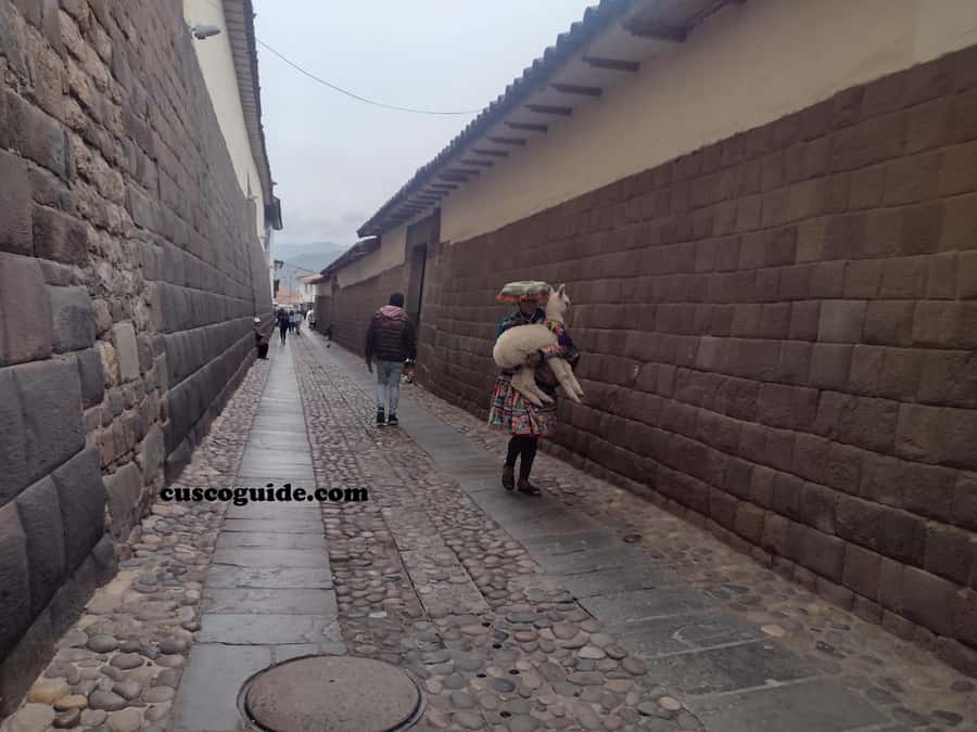 Cusco Walking Tour: Downtown, Sun Temple & San Blas Views - Plaza de Armas: your starting point on the old Inca world