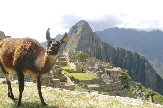 Day Trip Tour to Machu Picchu from Cusco - A 12 to 16 Hour Machu Picchu Sprint That Starts Before Sunrise