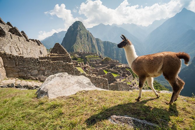 Day Trip Tour to Machu Picchu from Cusco - Machu Picchu Tickets and Circuits: What You Can Choose, and What You Cannot