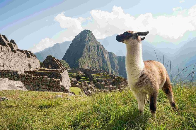 Day Trip Tour to Machu Picchu from Cusco - Aguas Calientes: Hot Springs Time and a Real Lunch Window