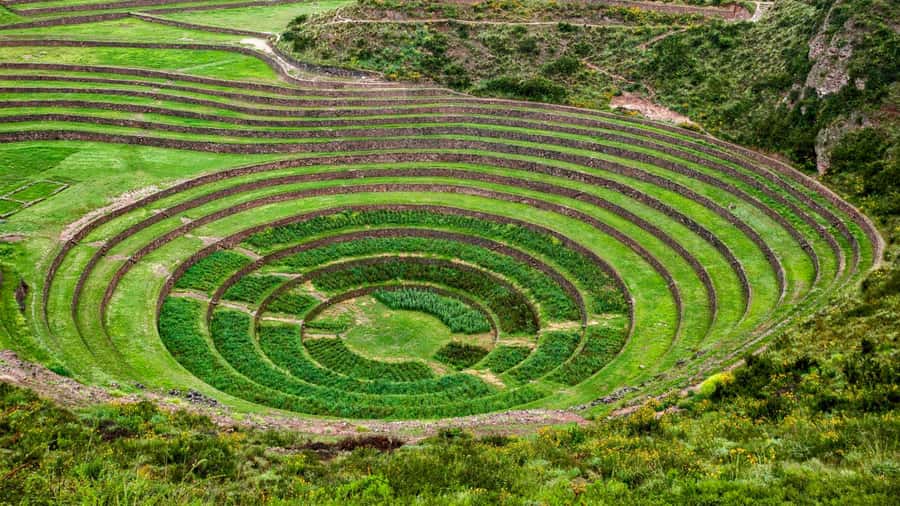 Desde Cusco: Moray Salinas de Maras y Tejedores de Chinchero - Will you enjoy it? Quick decision guide