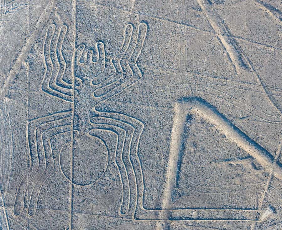 Discover Paracas, Ica and Nasca in a 2 days and 1 night trip - Ica highlights: pisco learning and a city stop that grounds the trip