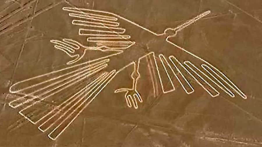 Discover Paracas, Ica and Nasca in a 2 days and 1 night trip - Nasca Lines flight from Maria Reiche Aerodrome: what you’ll be looking for