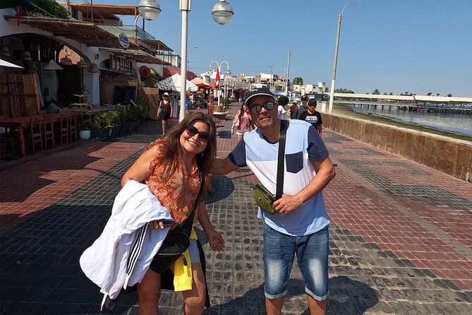 Dream tour: Full day in Paracas, Ica and La Huacachina - Huacachina lagoon and dunes: carts plus sandboarding