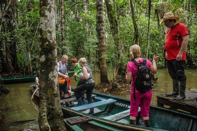 Eco Jungle - 2 Days / 1 Night - Day 1 in Tambopata National Reserve: The Forest Walk That Sets the Tone