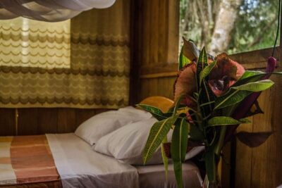 Eco Jungle 3 Days – 2 Nights