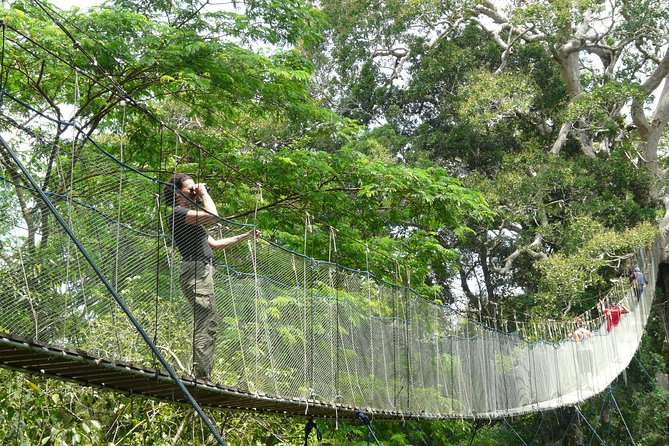 Eco Jungle 3 Days - 2 Nights - What you’ll actually do each day, in plain language