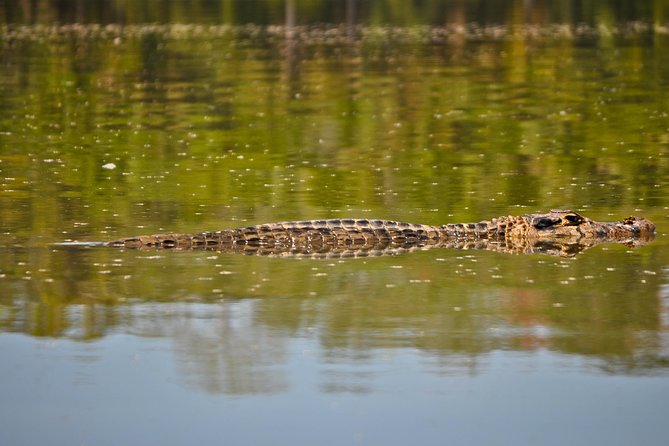 Eco Jungle 3 Days - 2 Nights - Who this Amazon trip suits best