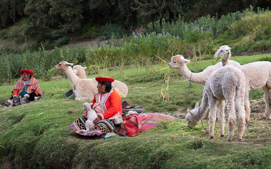 ECONOMIC PRIVATE TOUR IN THE CITY OF CUSCO - HALF DAY - Sacsayhuamán: big stones, guided context, and time to roam