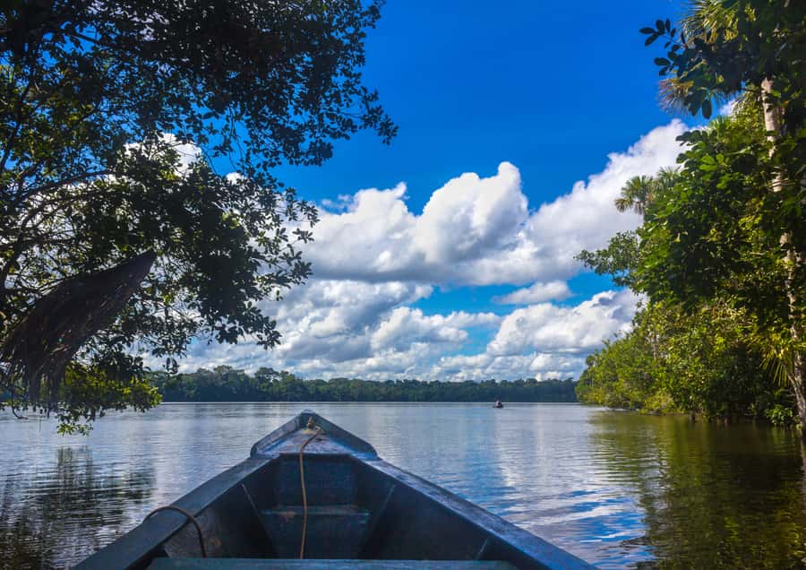 Excursion 3 days/2 nights in the jungle - Day 1 in Puerto Maldonado: bungalows, insects, and a quiet caiman hunt