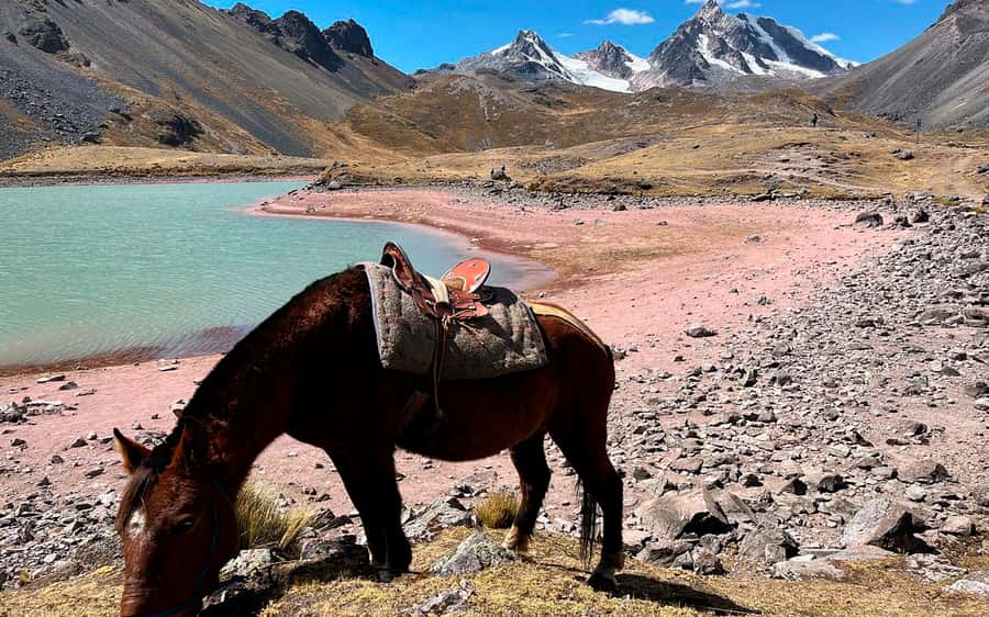 Excursion: Explore in one day the 7 lakes of Ausangate from Cusco - First, what this day trip is really doing to you